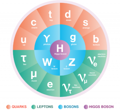 The Standard Model of particle physics