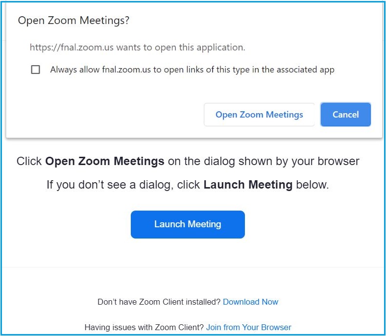 zoom client